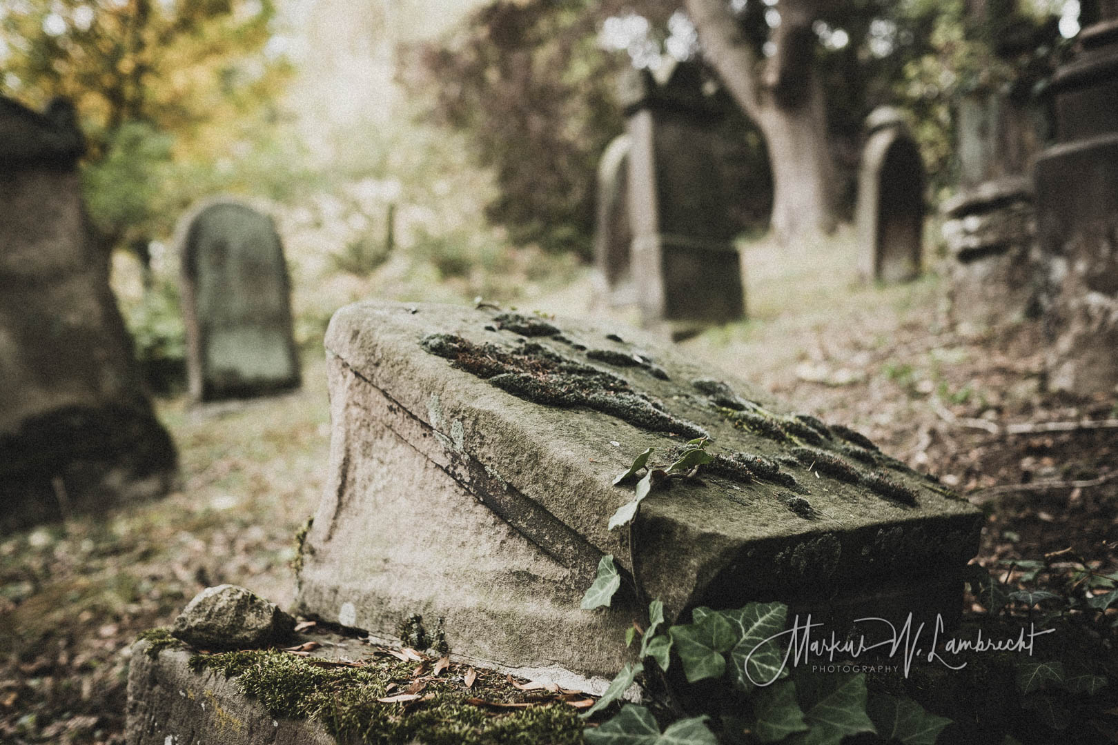 Rimbeck, Jüdischer Friedhof